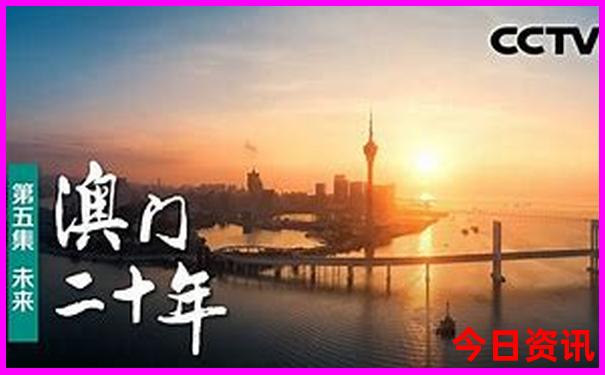 寒林空见日斜时打一准确生肖